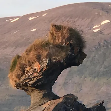 Heggelund בית נופש Svensby